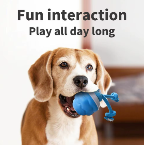 Tega™- Interactive Dog toy