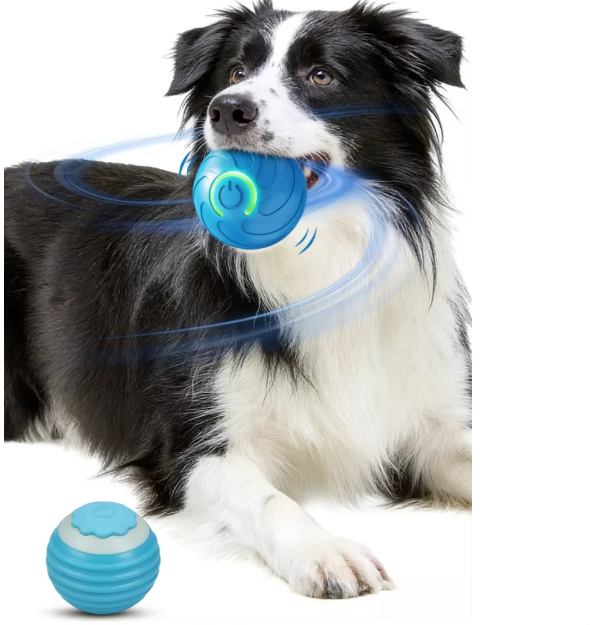 Pheno™- Interactive Chase Toy